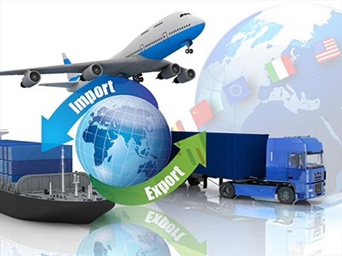 Dịch vụ thủ tục hải quan tại Bluestar – Hướng dẫn chi tiết, tránh rủi ro